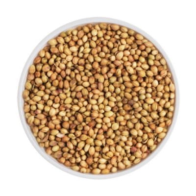 CORIANDER-SEEDS
