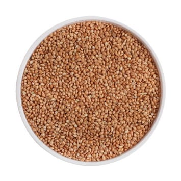 MILLET-PANICUM (1)