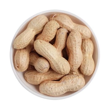 PEANUTS-INSHELL-1