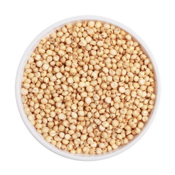 SORGHUM-1