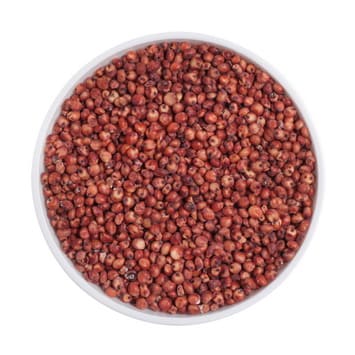 SORGHUM-RED-1