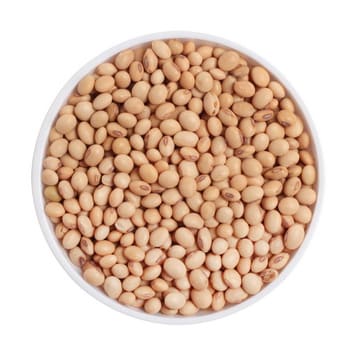SOYBEAN-1