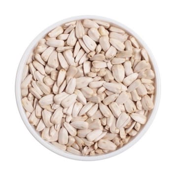 SUNFLOWER-SEEDS