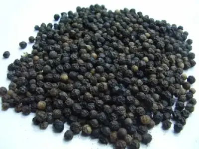 black-pepper-copy-500x500