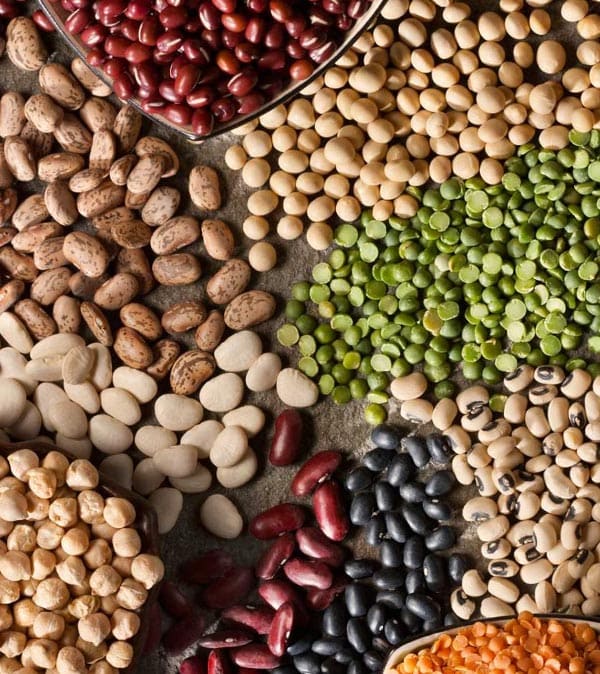 jkt-pulses